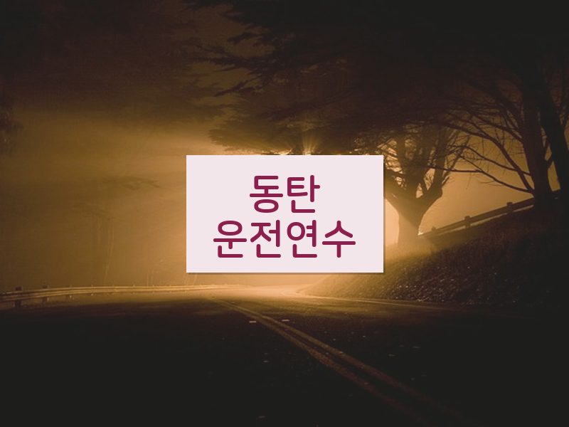 동탄운전연수 후기