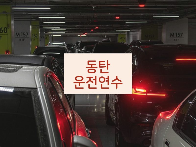 동탄운전연수 후기