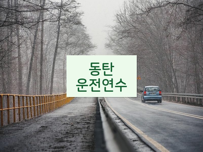 동탄운전연수 후기