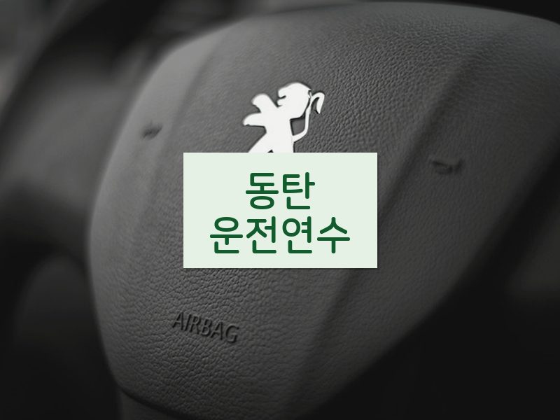 동탄운전연수 후기