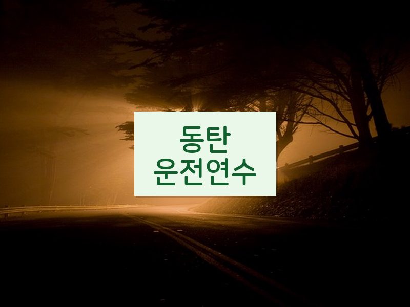 동탄운전연수 후기