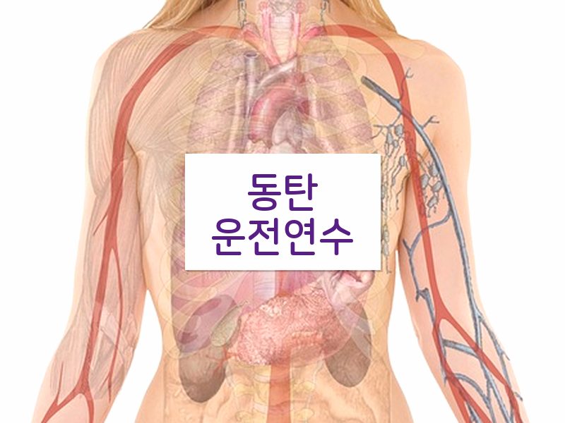 동탄운전연수 후기