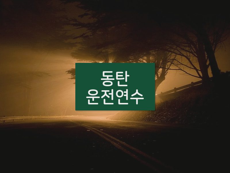 동탄운전연수 후기
