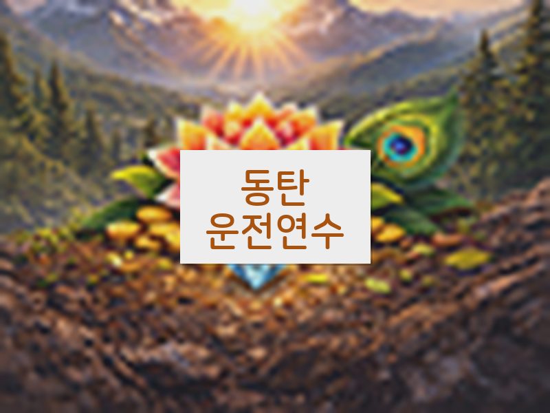 동탄운전연수 후기