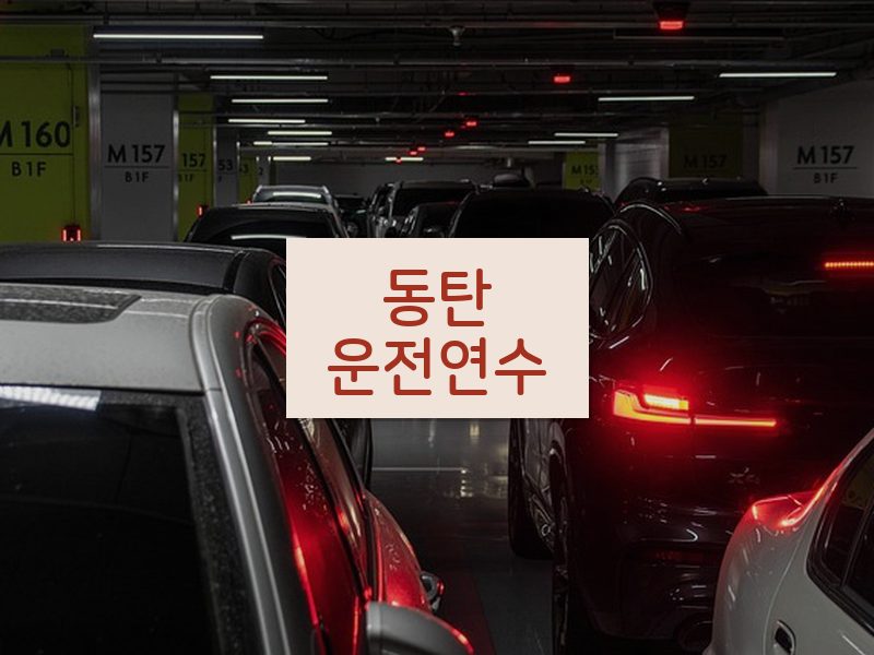 동탄운전연수 후기