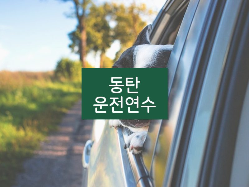 동탄운전연수 후기