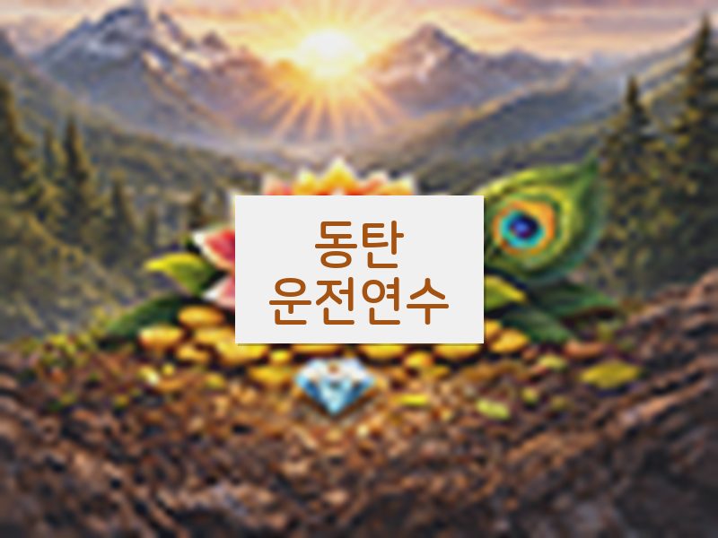 동탄운전연수 후기