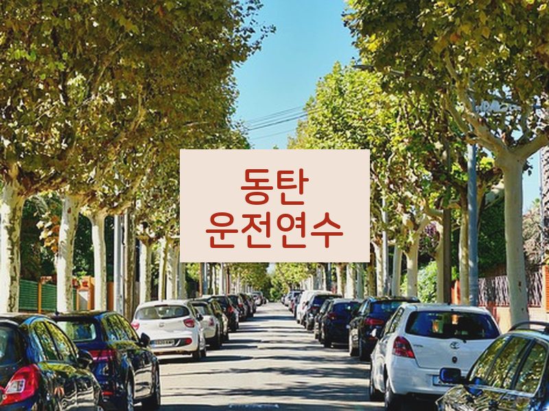 동탄운전연수 후기