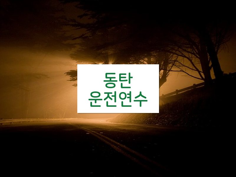 동탄운전연수 후기