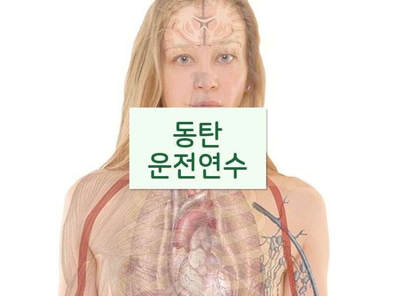 동탄운전연수 후기