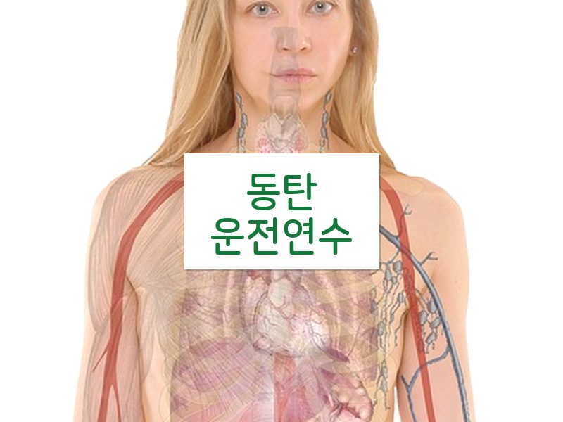 동탄운전연수 후기