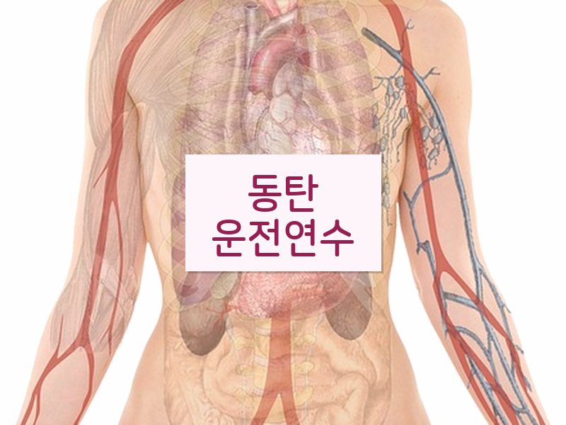 동탄운전연수 후기
