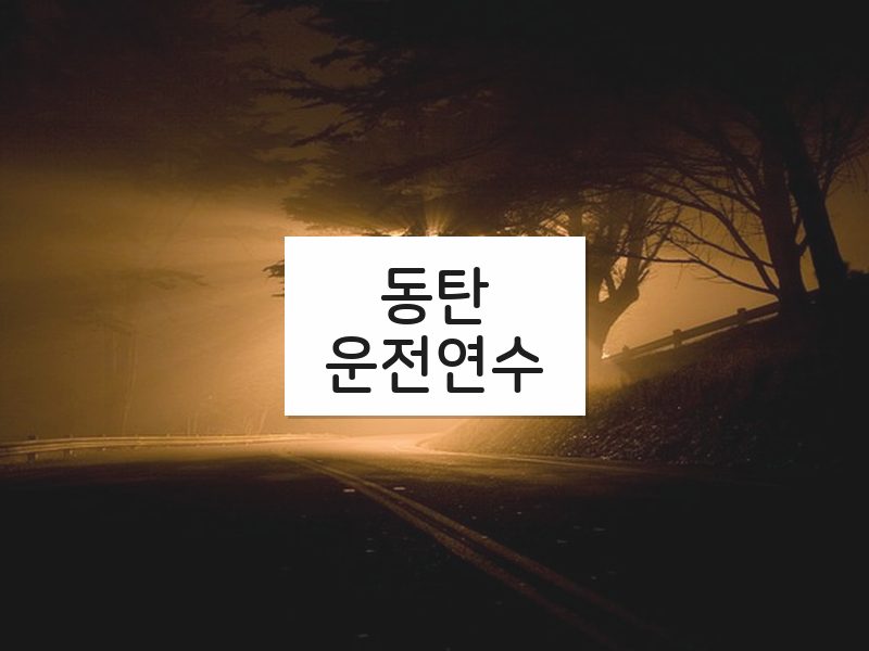 동탄운전연수 후기