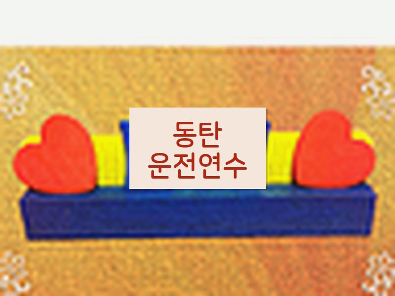 동탄운전연수 후기