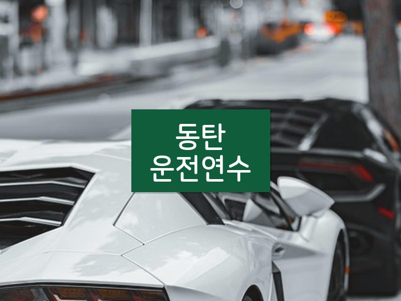 동탄운전연수 후기