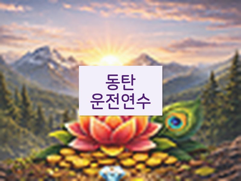 동탄운전연수 후기