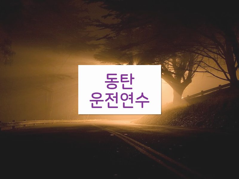 동탄운전연수 후기