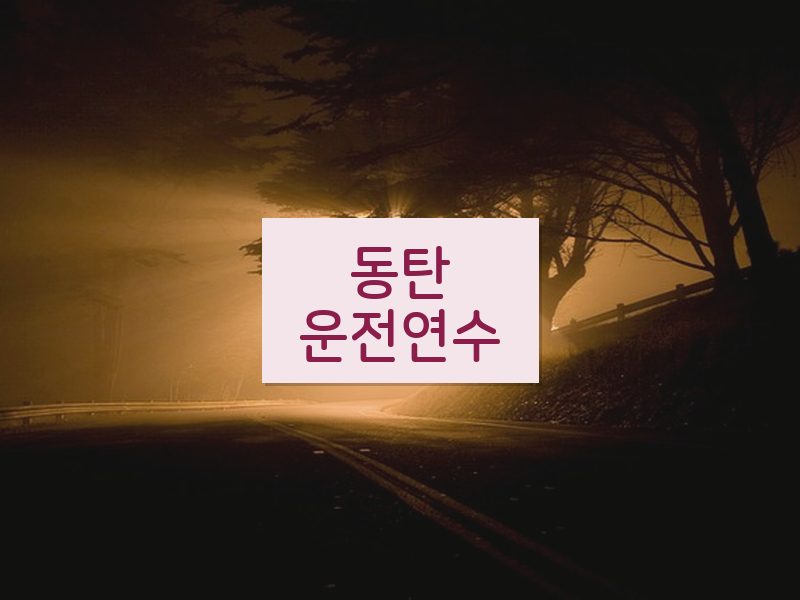 동탄운전연수 후기
