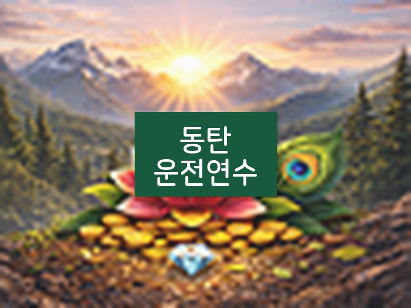 동탄운전연수 후기