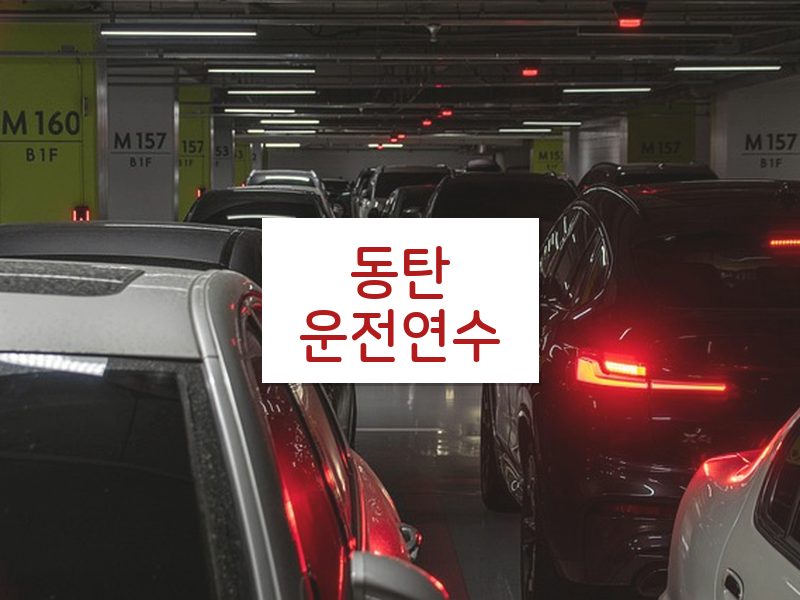 동탄운전연수 후기