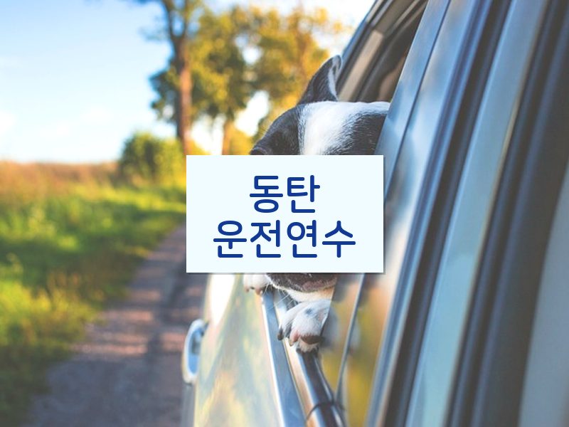 동탄운전연수 후기