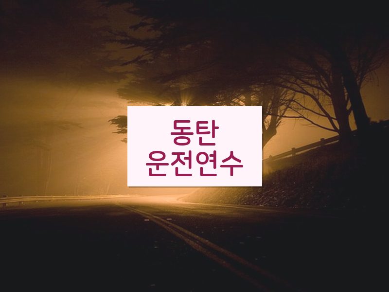 동탄운전연수 후기