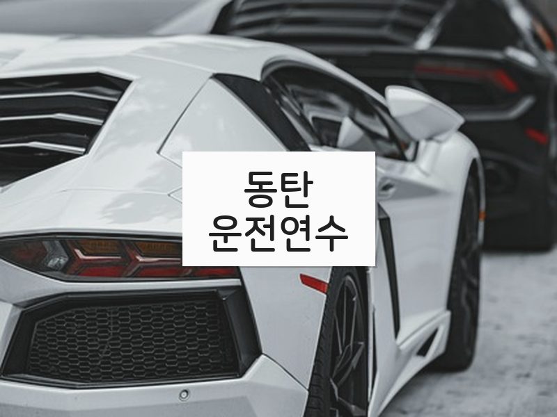 동탄운전연수 후기