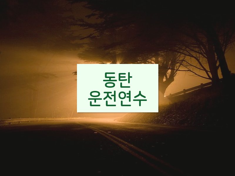 동탄운전연수 후기