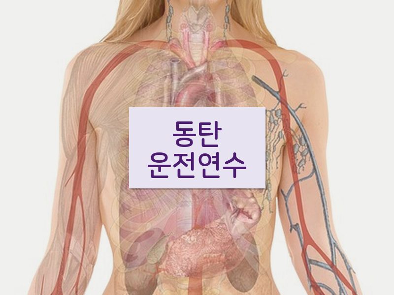 동탄운전연수 후기