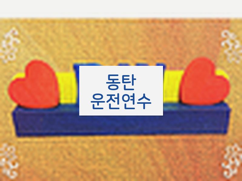 동탄운전연수 후기