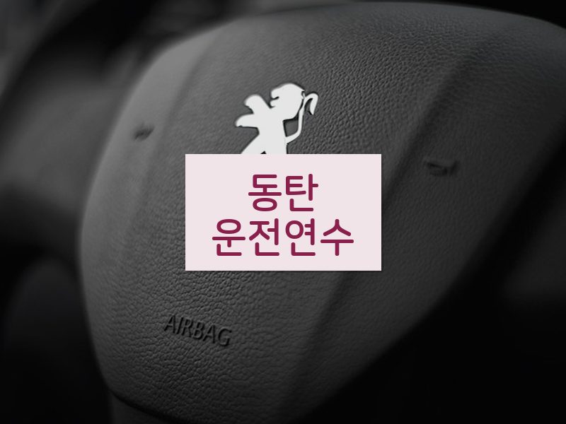 동탄운전연수 후기