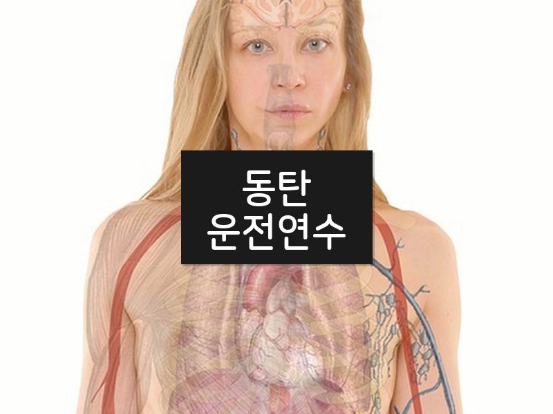 동탄운전연수 후기