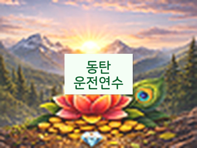 동탄운전연수 후기
