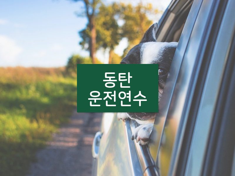 동탄운전연수 후기