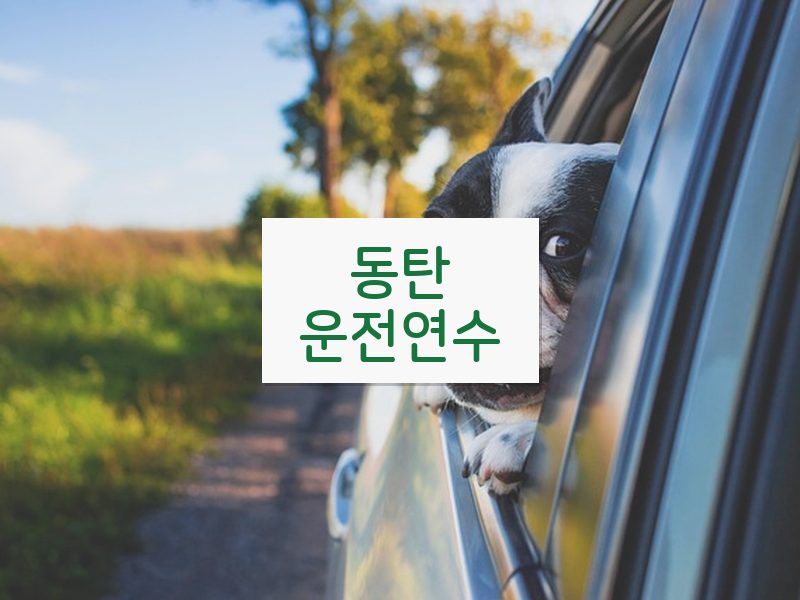 동탄운전연수 후기