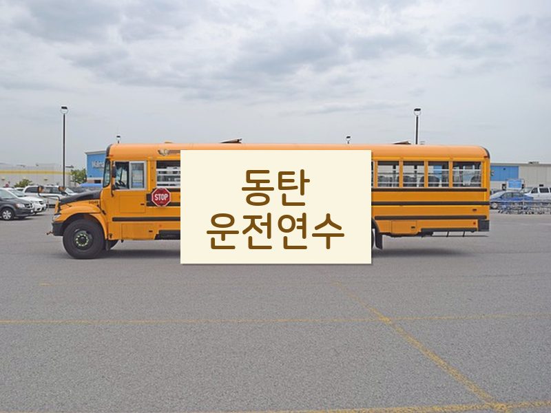 동탄운전연수 후기