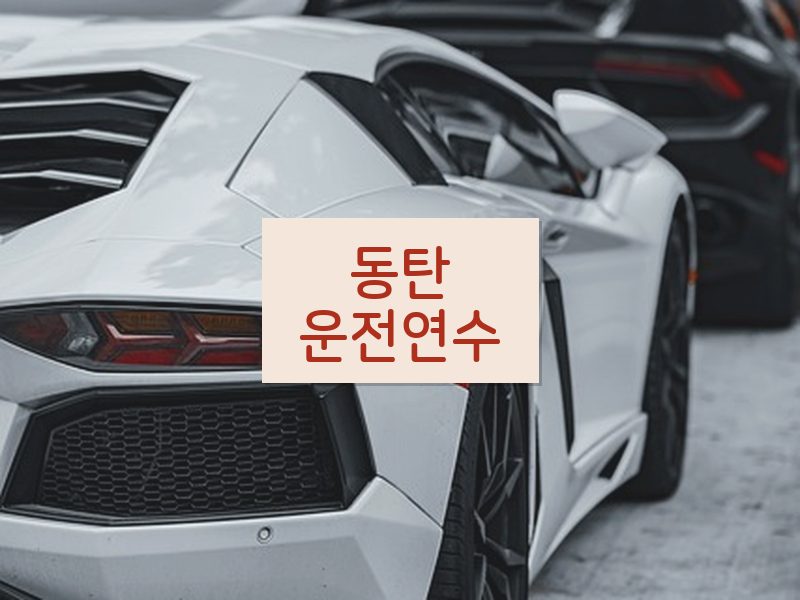 동탄운전연수 후기