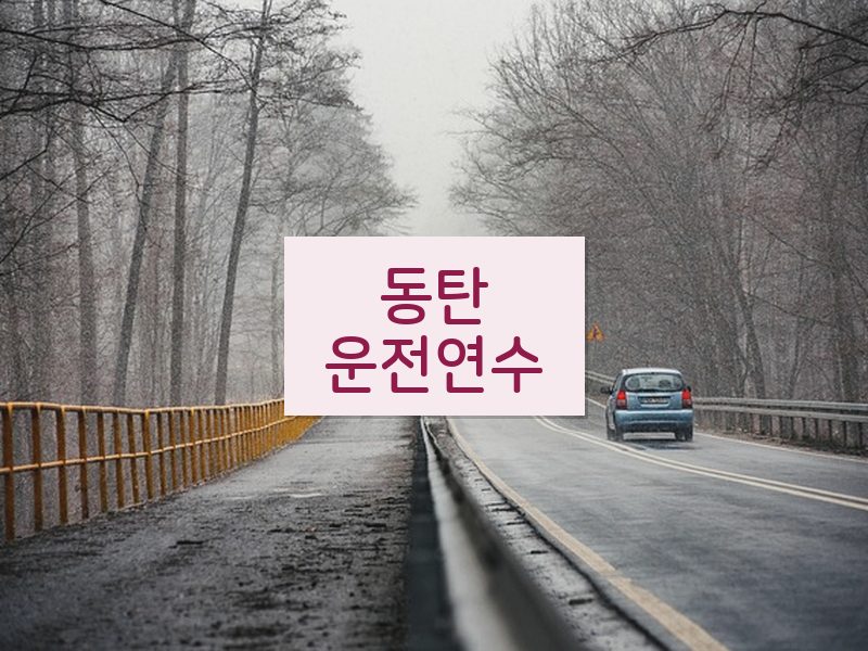 동탄운전연수 후기