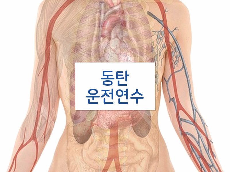 동탄운전연수 후기