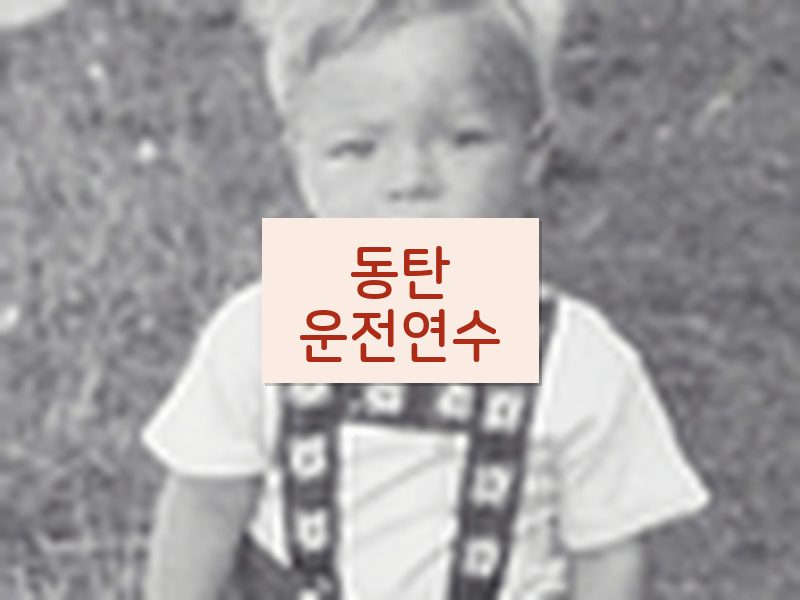 동탄운전연수 후기