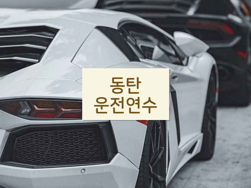 동탄운전연수 후기