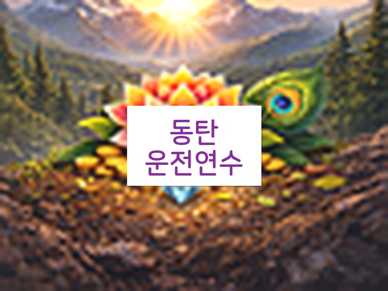 동탄운전연수 후기