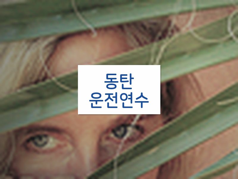 동탄운전연수 후기
