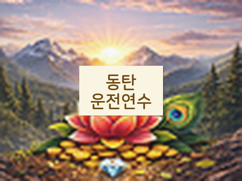 동탄운전연수 후기