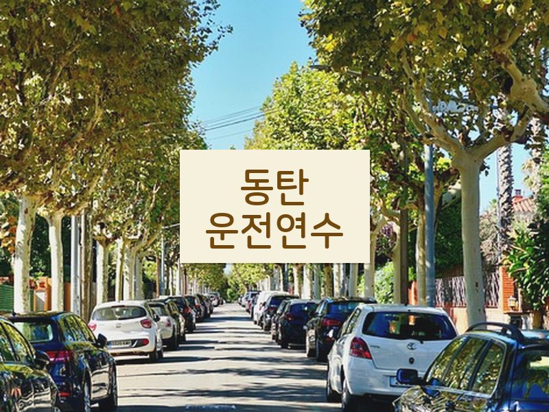 동탄운전연수 후기
