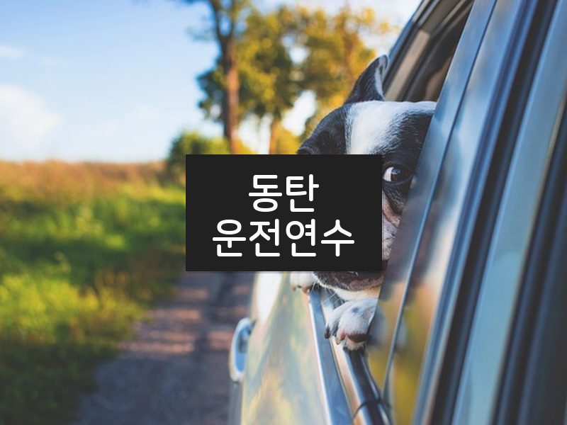 동탄운전연수 후기