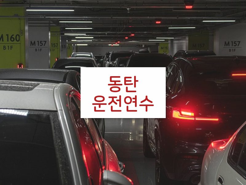 동탄운전연수 후기