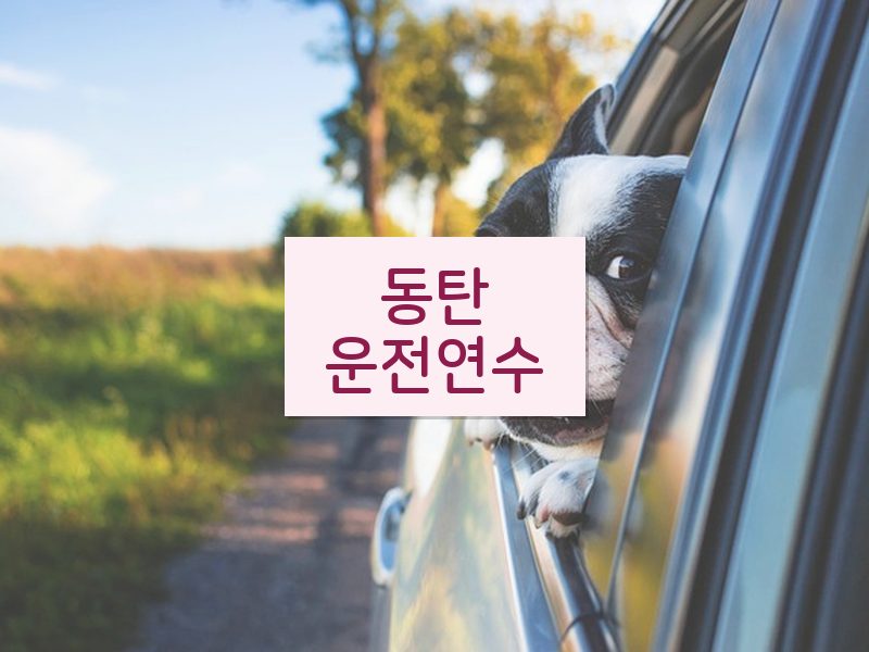 동탄운전연수 후기
