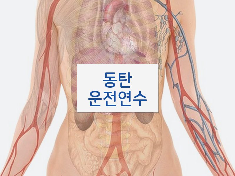 동탄운전연수 후기