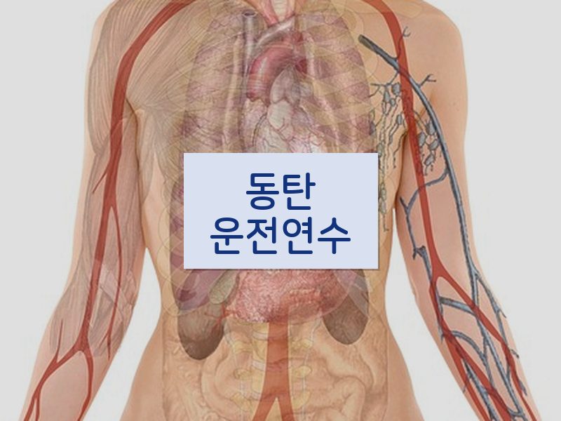 동탄운전연수 후기